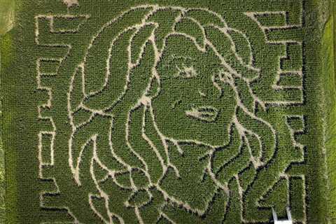 Dolly Parton to Be Honored With Corn Mazes Across North America Benefiting Her Imagination Library