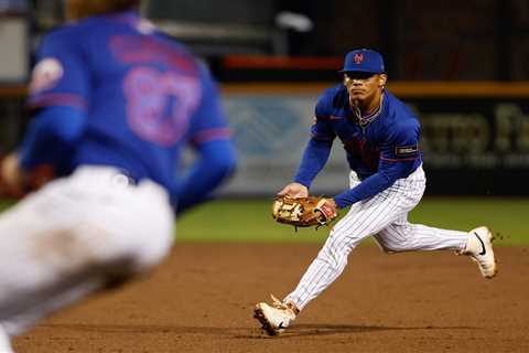 Prospects Mitch Voit and Jonathan Santucci making Mets take notice with award-winning seasons